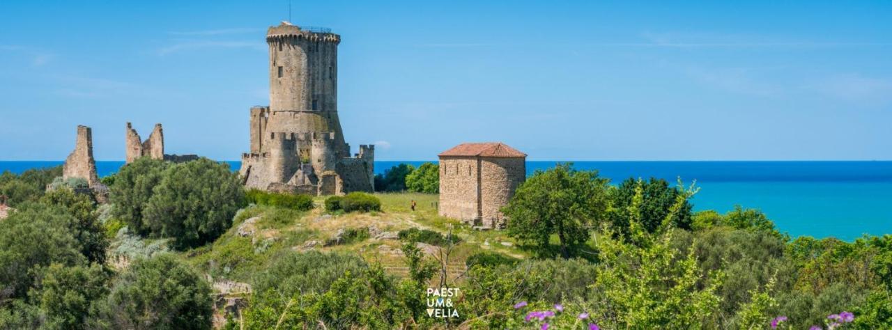 Apartament Cilento Relax San Marco Castellabate Jml San Marco di Castellabate Zewnętrze zdjęcie